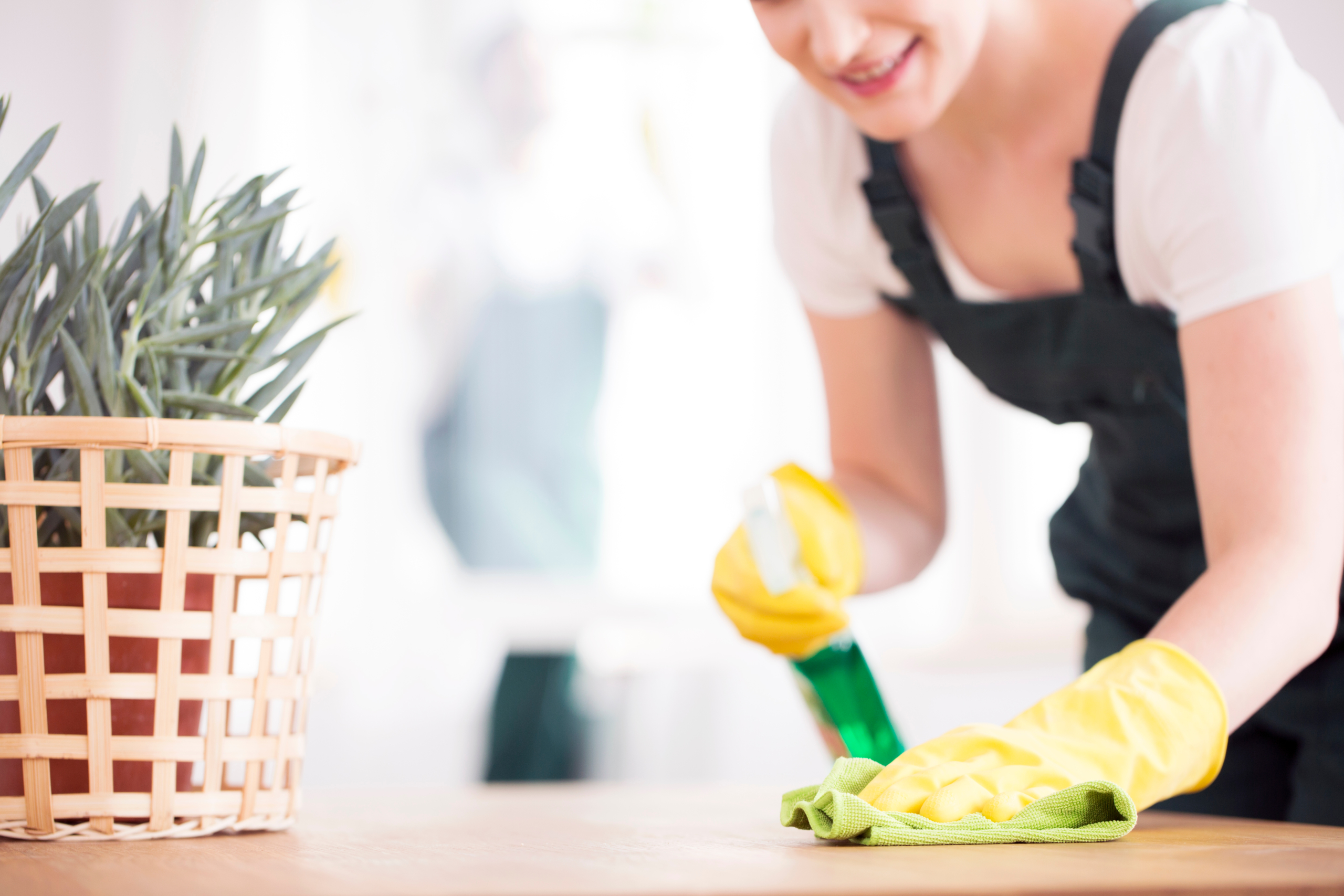 Yum cleaning. Клининг. Клининг компания. Клининг квартиры.